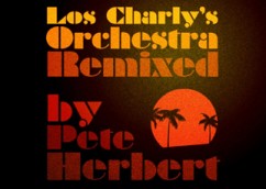 Los Charly’s Orchestra – Disco Gamma  remixed by Pete Herbert (Cat Nr IMAGDIG018)